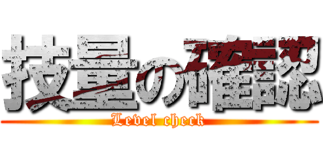 技量の確認 (Level check)