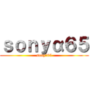 ｓｏｎｙα６５ (sonyα65)