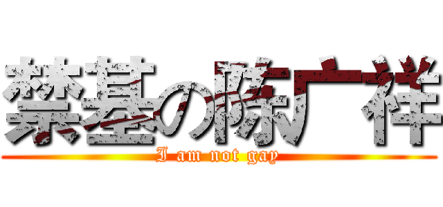禁基の陈广祥 (I am not gay)