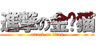 進撃の金华猫 (attack on titan)