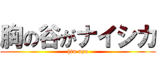 胸の谷がナイシカ (hin-nyu)