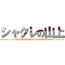 シャクレの山上 (Ms Yamakami is shakure)