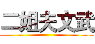 二姐夫文武 ()