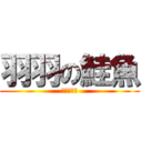 羽羽の鮭魚 (羽羽的鮭魚)