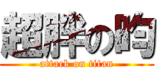 超胖の昀 (attack on titan)