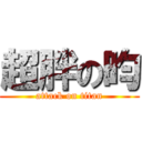 超胖の昀 (attack on titan)