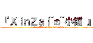 『 ＸｉｎＺａＩ~の~小铺 』 (attack on XinzaiOnlineLittleShop)