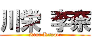 川栄 李奈 (Rina Kawaei)