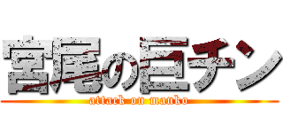 宮尾の巨チン (attack on manko)