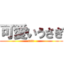 可愛いうさぎ (tete)