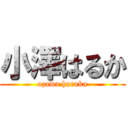 小澤はるか (ozawa haruka)