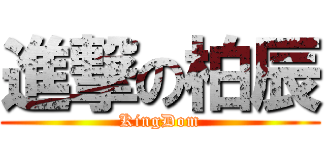 進撃の柏辰 (KingDom)