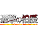 進撃の柏辰 (KingDom)