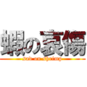 蝦の哀傷 (sad on shrimp)