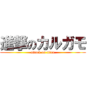 進撃のカルガモ (attack on titan)