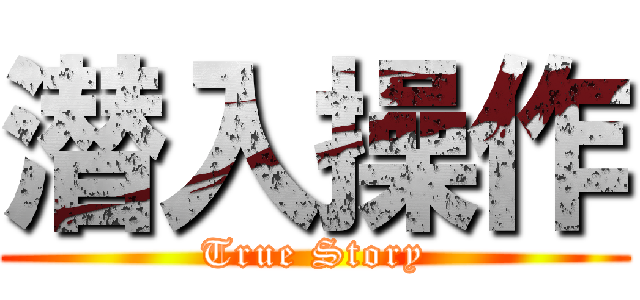 潜入操作 (True Story)