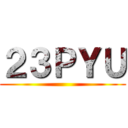２３ＰＹＵ ()