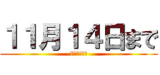 １１月１４日まで (7日から開始)