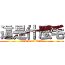 這是什麼毛 (attack on titan)