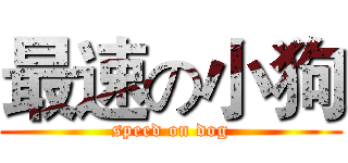 最速の小狗 (speed on dog)