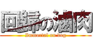 回歸の滷肉 (Immortal on dog)