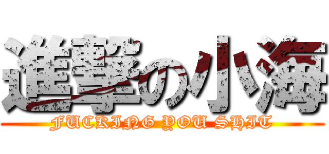 進撃の小海 (FUCKING YOU SHIT)