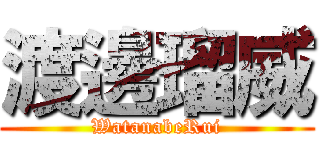 渡邊瑠威 (WatanabeRui)