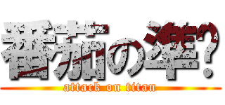 番茄の準烘 (attack on titan)