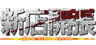 新店開張 (New store opens)