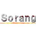 Ｓｏｒａｎｇ (Electronics)