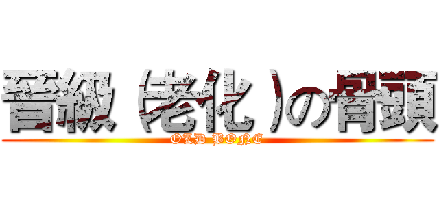 晉級（老化）の骨頭 (OLD BONE)