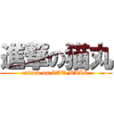 進撃の猫丸 (attack on CAT BALL)