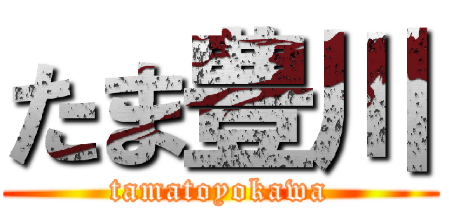 たま豊川 (tamatoyokawa)