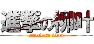 進撃の柳叶 (attack on titan)