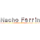 Ｎａｃｈｏ Ｆｅｒｒｉｎ (Attack on EPLA)
