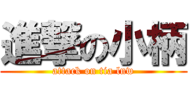 進撃の小柄 (attack on tia lnw)