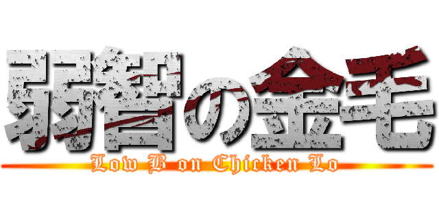 弱智の金毛 (Low B on Chicken Lo)