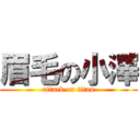 眉毛の小澤 (attack on titan)