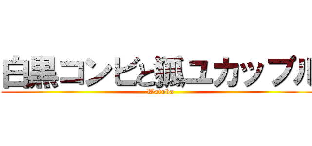 白黒コンビと狐ユカップル (Watoba)