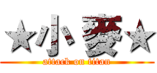 ★小 麥★ (attack on titan)