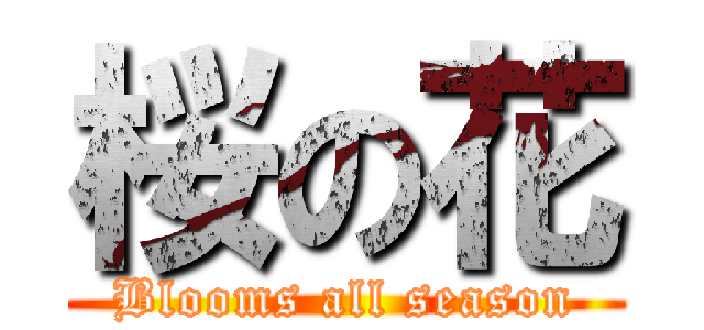 桜の花 (Blooms all season)