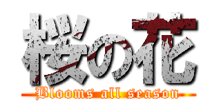 桜の花 (Blooms all season)