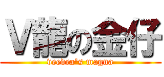 Ｖ龍の金仔 (veedra\'s magna)
