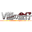 Ｖ龍の金仔 (veedra\'s magna)