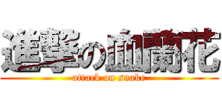 進撃の血蘭花 (attack on snake)