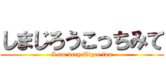 しまじろうこっちみて (I am very Tiger fun)
