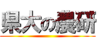 県大の農研 ()