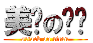 美丽の诗镱 (attack on titan)