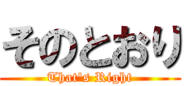 そのとおり (That's Right)