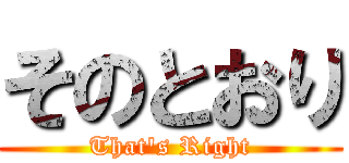 そのとおり (That's Right)